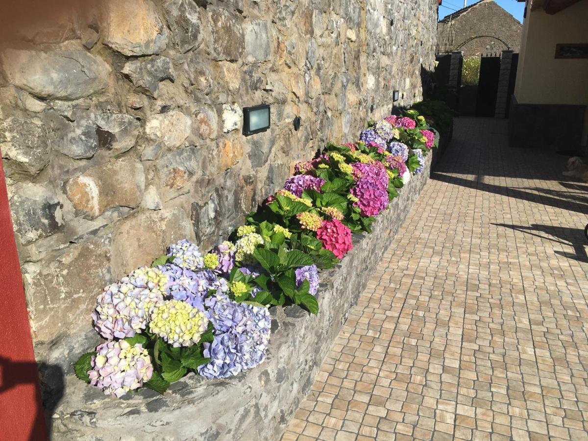 Casa Da Rainha Bungallow Estreito Da Calheta Zewnętrze zdjęcie